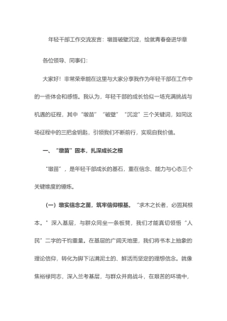年轻干部工作交流发言：墩苗破壁沉淀，绘就青春奋进华章.docx