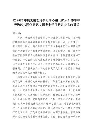 在2025年镇党委理论学习中心组（扩大）铸牢中华民族共同体意识专题集中学习研讨会上的讲话.docx