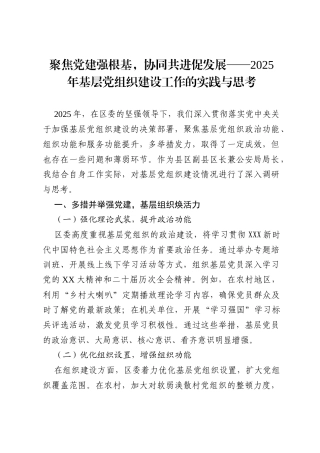 聚焦党建强根基，协同共进促发展——2025 年基层党组织建设工作的实践与思考.docx