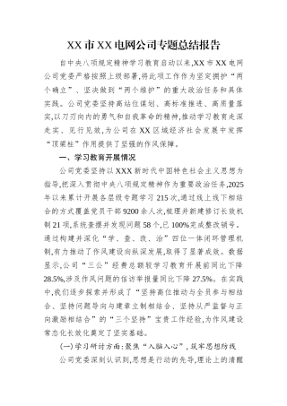 XX市XX电网公司专题总结报告.docx