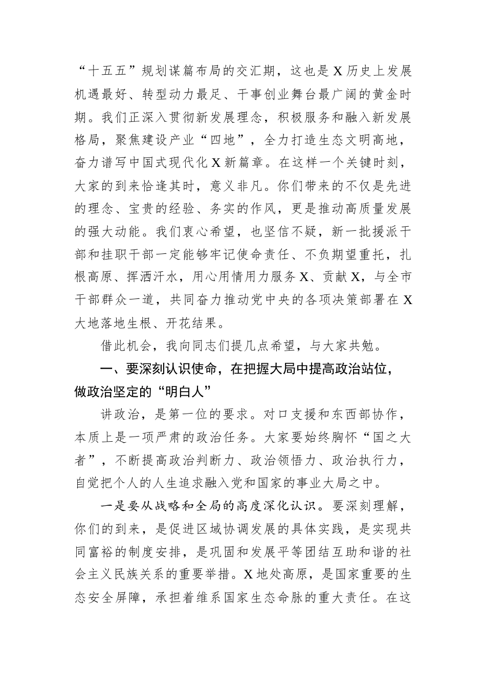 在2025年市援派干部及东西部协作挂职干部座谈会上的讲话.docx_第2页
