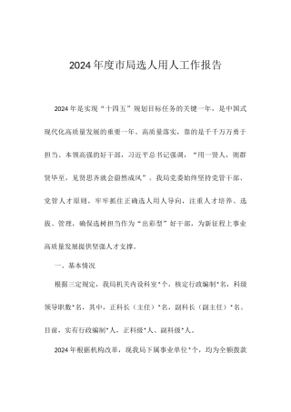 2024年度市局选人用人工作报告.docx