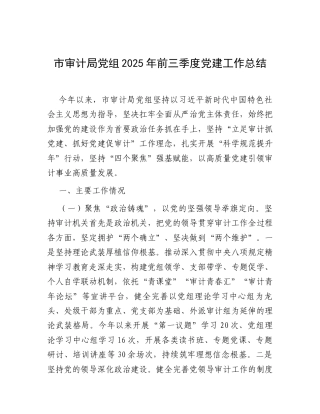 市审计局党组2025年前三季度党建工作总结.docx