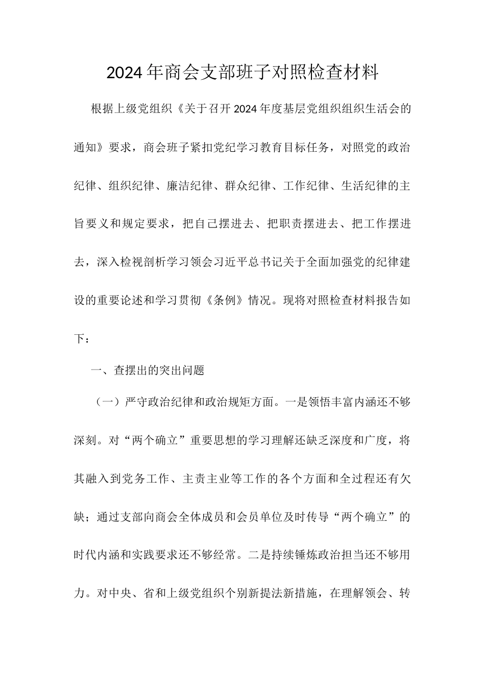 2024年商会支部班子对照检查材料.docx_第1页