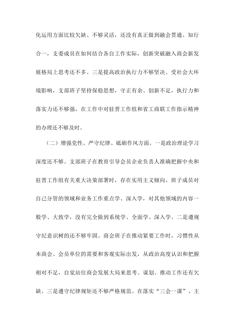 2024年商会支部班子对照检查材料.docx_第2页