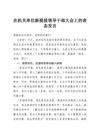在机关单位新提拔领导干部大会上的表态发言.docx