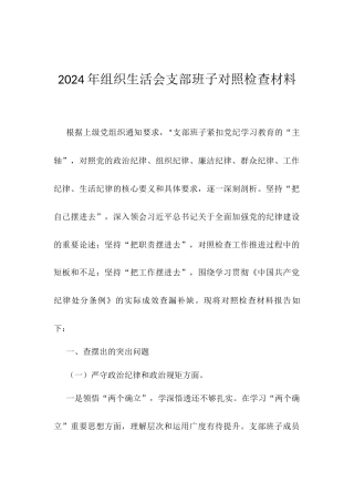 2024年组织生活会支部班子对照检查材料.docx