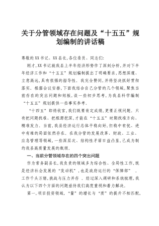 关于分管领域存在问题及“十五五”规划编制的讲话稿.docx