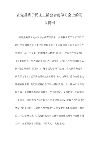 在党委班子民主生活会会前学习会上的发言提纲.doc