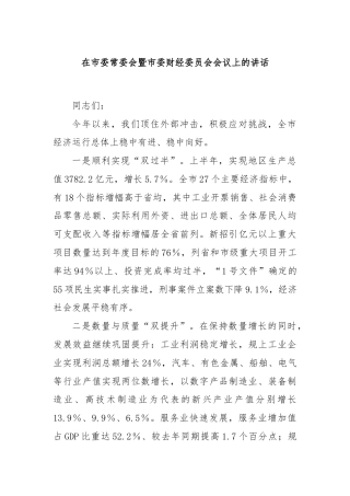 在市委常委会暨市委财经委员会会议上的讲话.docx