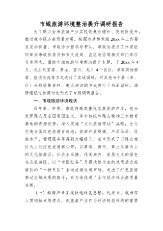 市域旅游环境整治提升调研报告.docx
