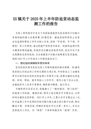 XX镇关于2025年上半年防返贫动态监测工作的报告.docx