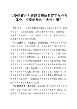 市委巡察办九级职员纪检监察工作心得体会：巡察新兵的“成长拼图”.docx