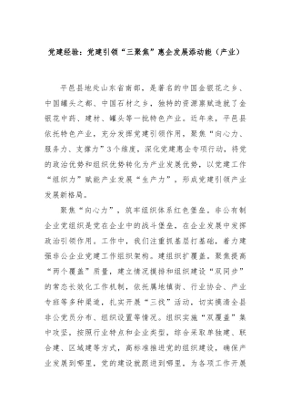 党建经验：党建引领“三聚焦”惠企发展添动能（产业）.docx