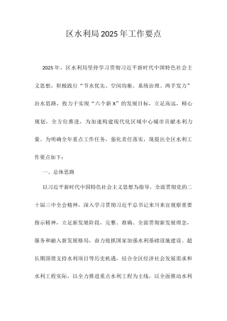 区水利局2025年工作要点.docx