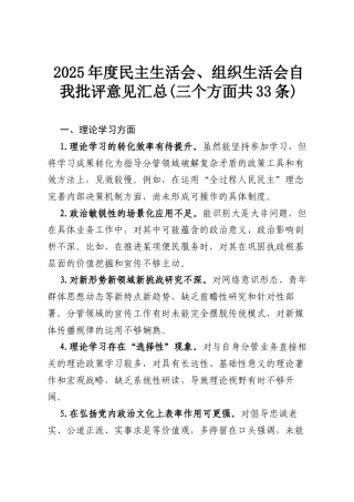 2025年度民主生活会.docx