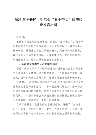 2025 年乡长民主生活会“五个带头”对照检查发言材料.docx