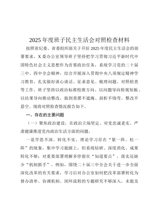 2025年度班子民主生活会对照检查材料.docx
