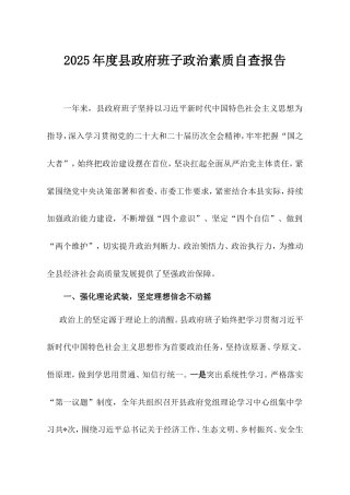 2025年度县政府班子政治素质自查报告.doc