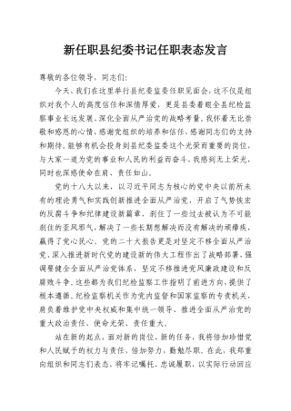 新任职县纪委书记任职表态发言.doc