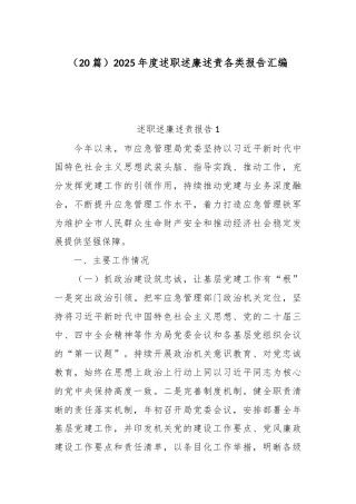 （20篇）2025年度述职述廉述责各类报告汇编.docx