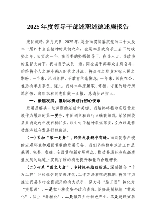 2025年度领导干部述职述德述廉报告.doc