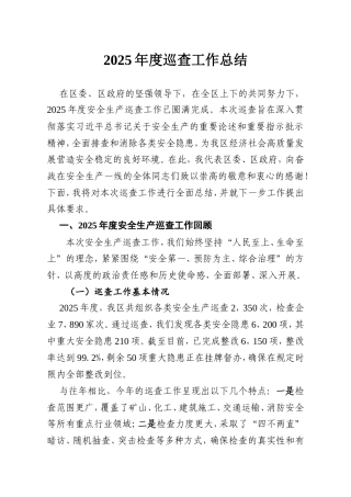 2025年度巡查工作总结.doc