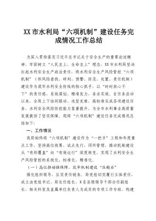 XX市水利局“六项机制”建设任务完成情况工作总结.docx