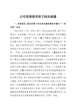 公司党委委员班子政治画像.doc