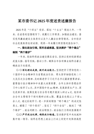 某市委书记2025年度述责述廉报告.doc