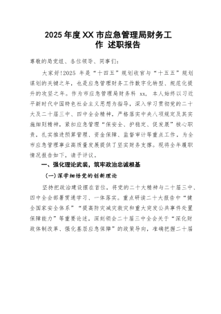 2025 年度市应急管理局财务工作人员述职报告.docx