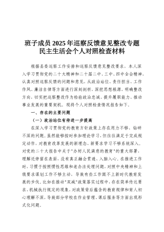 班子成员2025年巡察反馈意见整改专题民主生活会个人对照检查材料.doc
