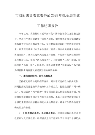市政府国资委党委书记2025年抓基层党建工作述职报告.doc