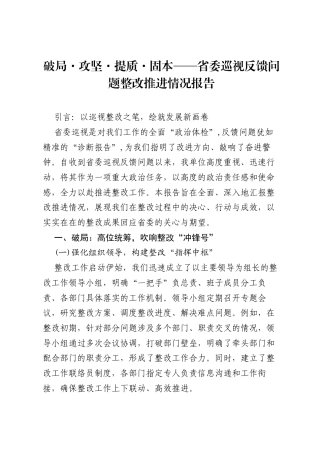 破局·攻坚·提质·固本——省委巡视反馈问题整改推进情况报告.docx