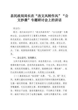 县民政局局长在“改文风转作风”“公文抄袭”专题研讨会上的讲话.docx