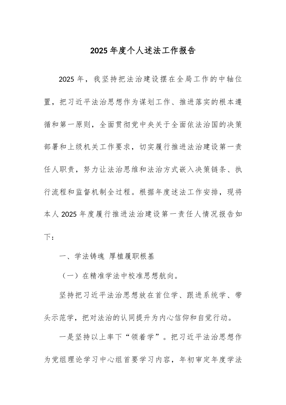 2025年度个人述法工作报告.docx_第1页