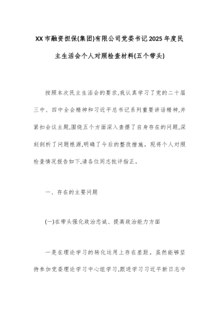XX市融资担保(集团)有限公司党委书记2025年度民主生活会个人对照检查材料(五个带头).docx