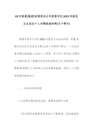 XX市医投(集团)有限责任公司党委书记2025年度民主生活会个人对照检查材料(五个带头).docx