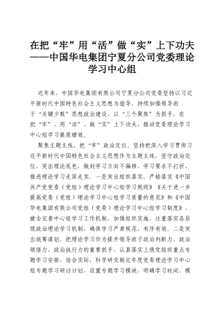 在把“牢”用“活”做“实”上下功夫——中国华电集团宁夏分公司党委理论学习中心组.docx