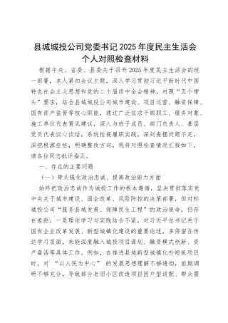 县城城投公司党委书记2025年度民主生活会个人对照检查材料（6241字）.docx