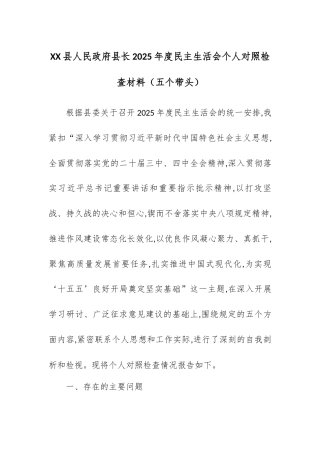 【12.29】XX县人民政府县长2025年度民主生活会个人对照检查材料（五个带头）.docx