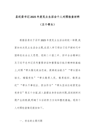 【12.29】县纪委书记2025年度民主生活会个人对照检查材料（五个带头）.docx