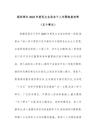【12.29】组织部长2025年度民主生活会个人对照检查材料（五个带头）.docx