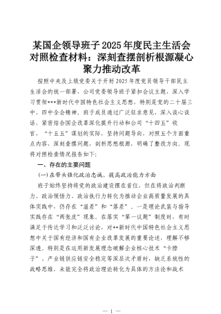 国企党委班子成员2025年度民主生活会会个人发言：剖析根源触及灵魂，整改落实提质增效.docx