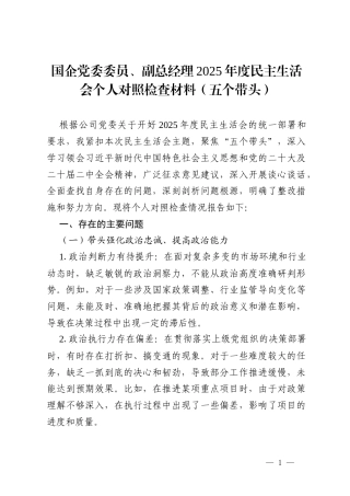 国企党委委员、副总经理 2025 年度民主生活会个人对照检查材料（五个带头）.docx