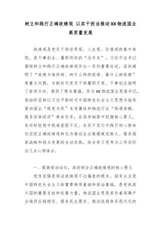 树立和践行正确政绩观 以实干担当推动XX物流国企高质量发展.docx