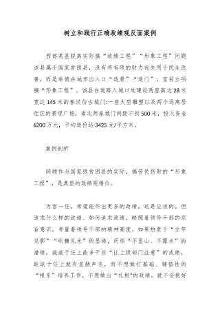 树立和践行正确政绩观反面案例.docx