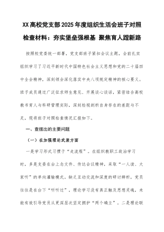 XX高校党支部2025年度组织生活会班子对照检查材料：夯实堡垒强根基 聚焦育人蹚新路.docx