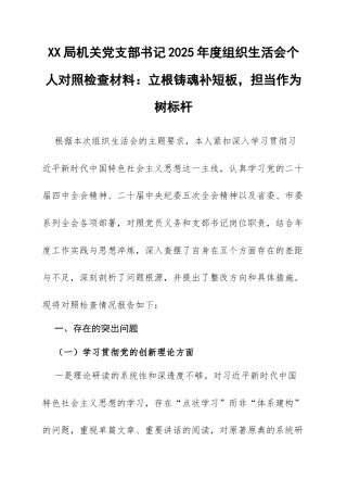 XX局机关党支部书记2025年度组织生活会个人对照检查材料：立根铸魂补短板，担当作为树标杆.docx