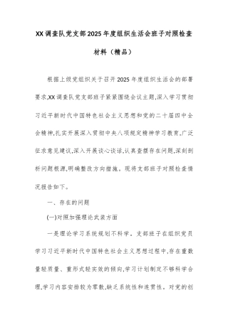 XX调查队党支部2025年度组织生活会班子对照检查材料.docx
